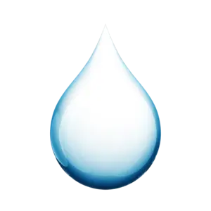 Fluid